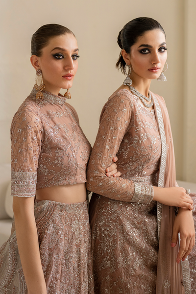 Iznik | Chinnon Chiffon | CC-43 Embroidered Net -  Iznik Formal - Original Designer Dress - House of Maryam