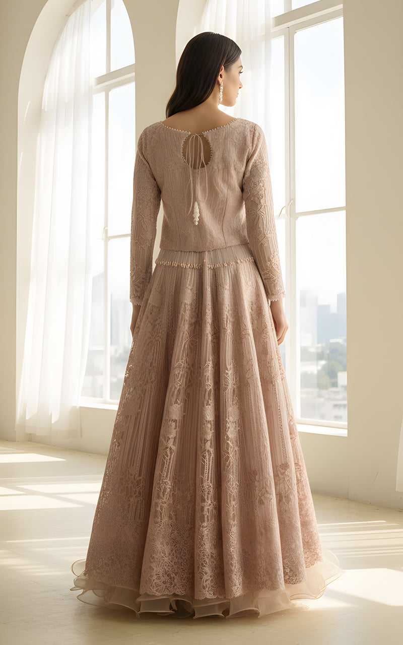 Threads and Motifs | Formal Dresses 25 | Organza Embroidered Blouse And Lehenga-2