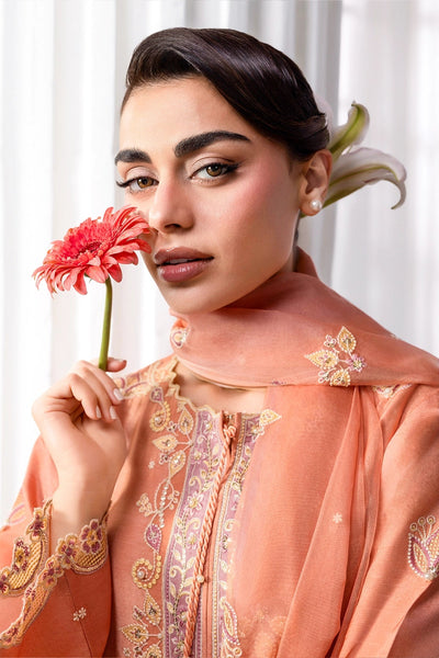 Rangrasiya | Lumeire Silk |Clara