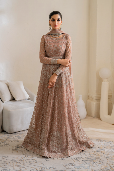 Iznik | Chinnon Chiffon | CC-43 Embroidered Net -  Iznik Formal - Original Designer Dress - House of Maryam