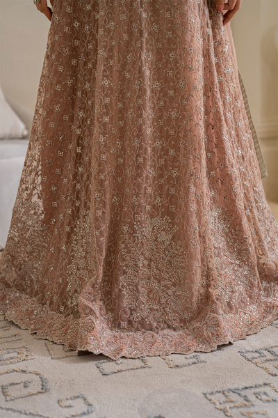 Iznik | Chinnon Chiffon | CC-43 Embroidered Net -  Iznik Formal - Original Designer Dress - House of Maryam