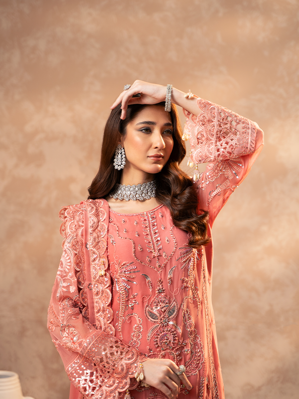 Zebtan | Zeenat Festive Collection | ZN-05 by Designer Zebtan - House of Maryam - Pakistani Designer Ethnic Wear in {{ shop.shopifyCountryName }}