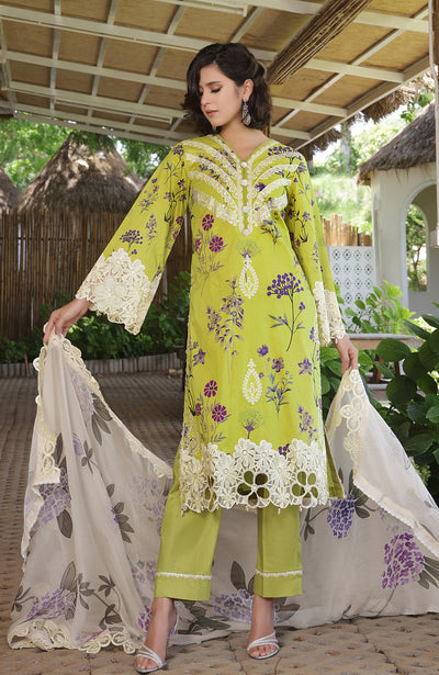 Al Zohaib | Sunshine Premium Edition 25 | SBE-25-09 D