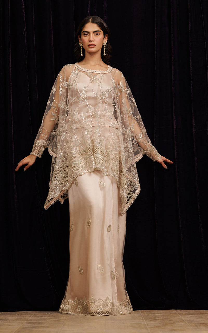 Threads and Motifs | Formal Dresses 25 | Net Embroidered Cape With Tube And Skirt -  Threads and Motifs Ladies Clothes - Original Designer Dress - House of Maryam
