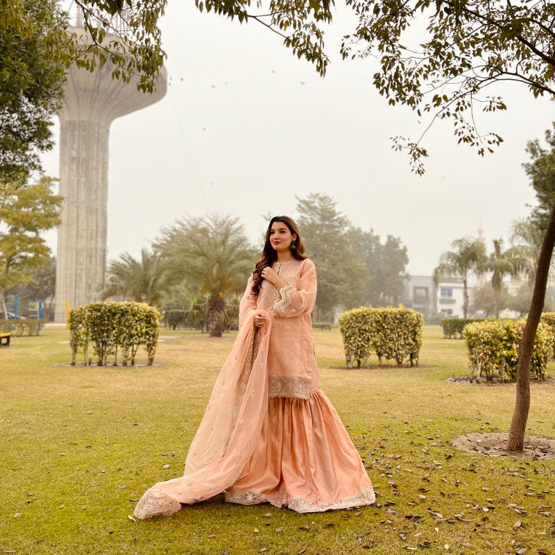 Daud Abbas | Formals Collection | Zaira -  Daud Abbas Formal - Original Designer Dress - House of Maryam
