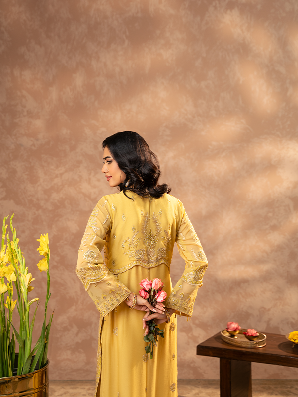 Zebtan | Zeenat Festive Collection | ZN-01 by Zebtan - House of Maryam