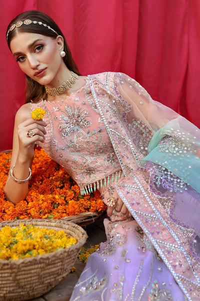Nureh | Jhoomro 25' | NL-81 Daria -  Nureh jhoomro 25 - Original Designer Dress - House of Maryam