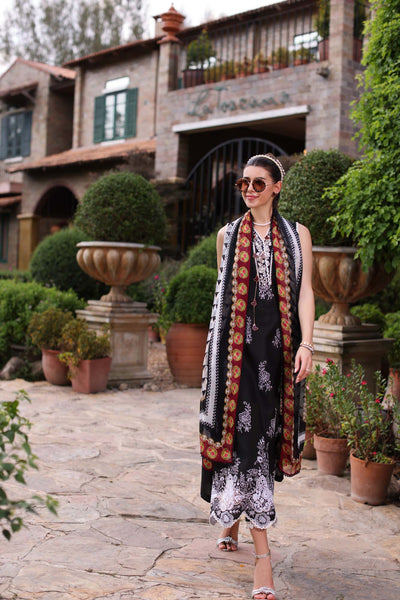 Noor by Saadia Asad | Eid Luxe Printkari 24 | D6 -  Noor by Saadia Asad Luxury - Original Designer Dress - House of Maryam