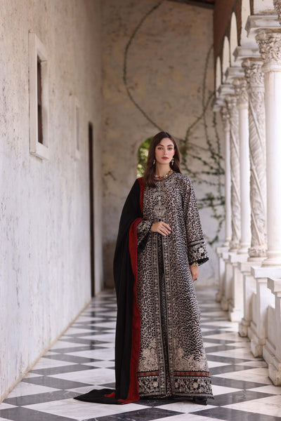 Noor by Saadia Asad | Winter Pashmina 25 | Noir Safari