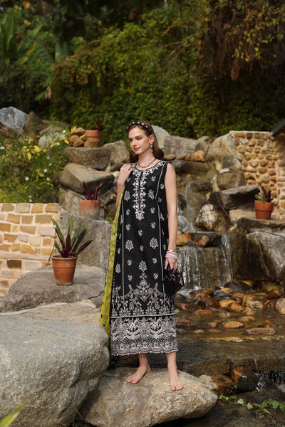 Noor by Saadia Asad | Luxe Chikankari 25 | D3-B -  Noor by Saadia Asad Ladies Clothes - Original Designer Dress - House of Maryam