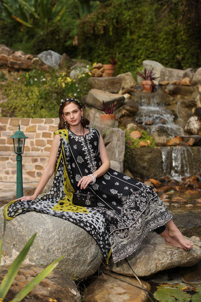 Noor by Saadia Asad | Luxe Chikankari 25 | D3-B -  Noor by Saadia Asad Ladies Clothes - Original Designer Dress - House of Maryam