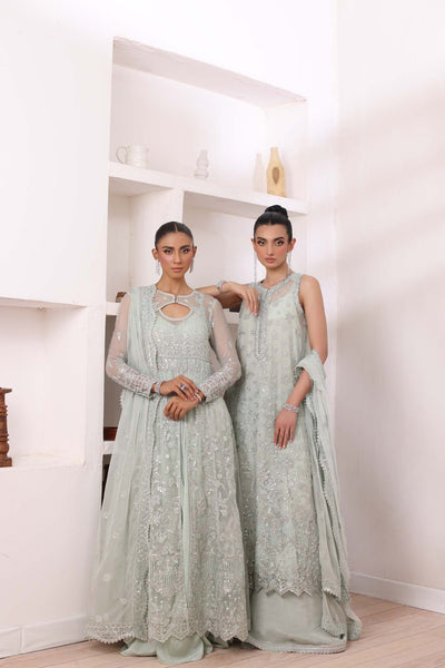 Noor by Saadia Asad | Noor Chiffon De Luxe | D8 -  Noor by Saadia Asad Formal - Original Designer Dress - House of Maryam
