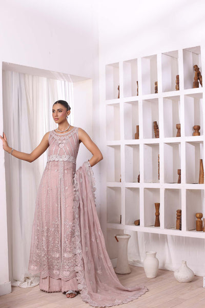 Noor by Saadia Asad | Noor Chiffon De Luxe | D3 -  Noor by Saadia Asad Formal - Original Designer Dress - House of Maryam
