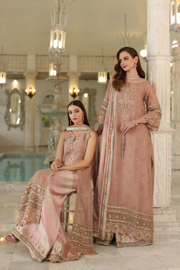 Noor by Saadia Asad | Festive 25 | D4 - Tea Pink-3