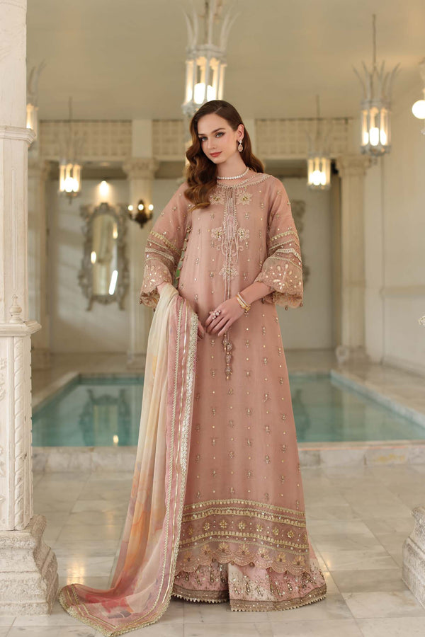 Noor by Saadia Asad | Festive 25 | D4 - Tea Pink-1