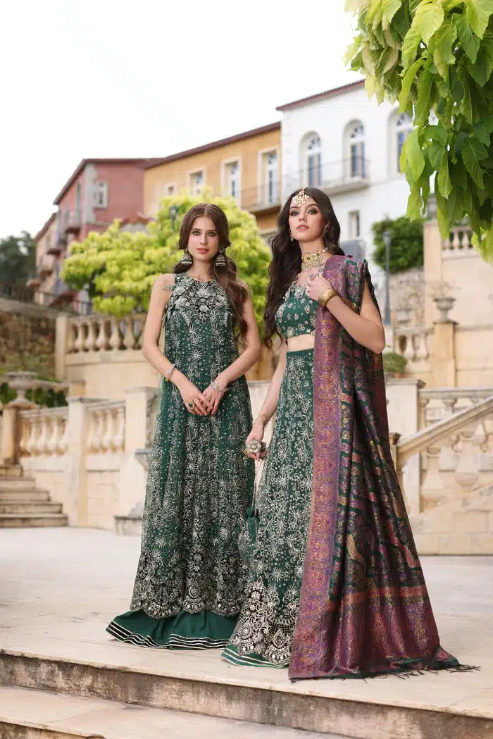 Noor by Saadia Asad | Kaani Wedding Formals 23 | D1 -  Noor by Saadia Asad Formal - Original Designer Dress - House of Maryam