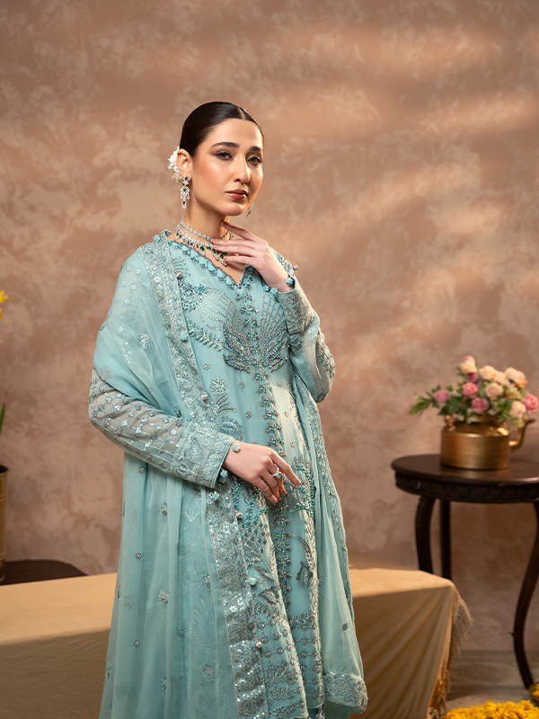 Zebtan | Zeenat Festive Collection | ZN-07 by Designer Zebtan - House of Maryam - Pakistani Designer Ethnic Wear in {{ shop.shopifyCountryName }}