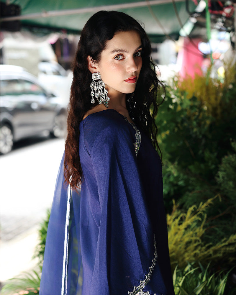 Ain | Prestige Festive Edit | AN-141 E, image 3