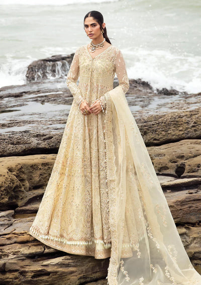 Afrozeh | Dastangoi Wedding Formal'24 | AWE-06 AROOHI -  Afrozeh Bridal - Original Designer Dress - House of Maryam