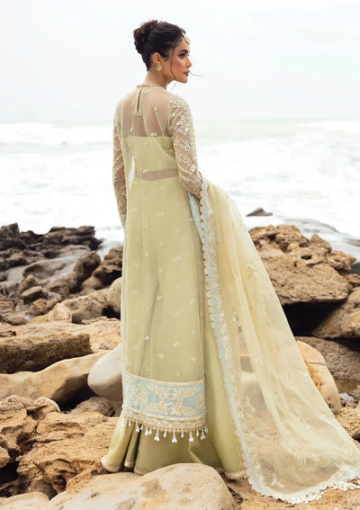 Afrozeh | Dastangoi Wedding Formal'24 | AWE-09 LEELA -  Afrozeh Bridal - Original Designer Dress - House of Maryam