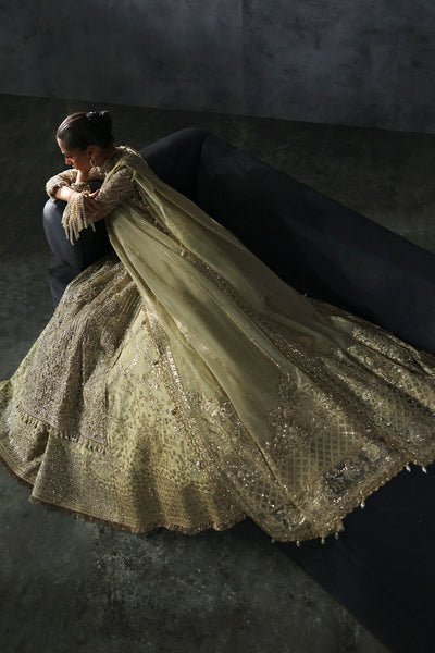 Afrozeh Orazio green organza bridal shirt and lehenga, photo 6