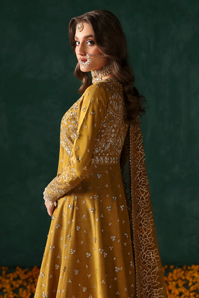 Afrozeh | Divani Silk Edit 25 | Jahanbano -  Afrozeh Ladies Clothes - Original Designer Dress - House of Maryam