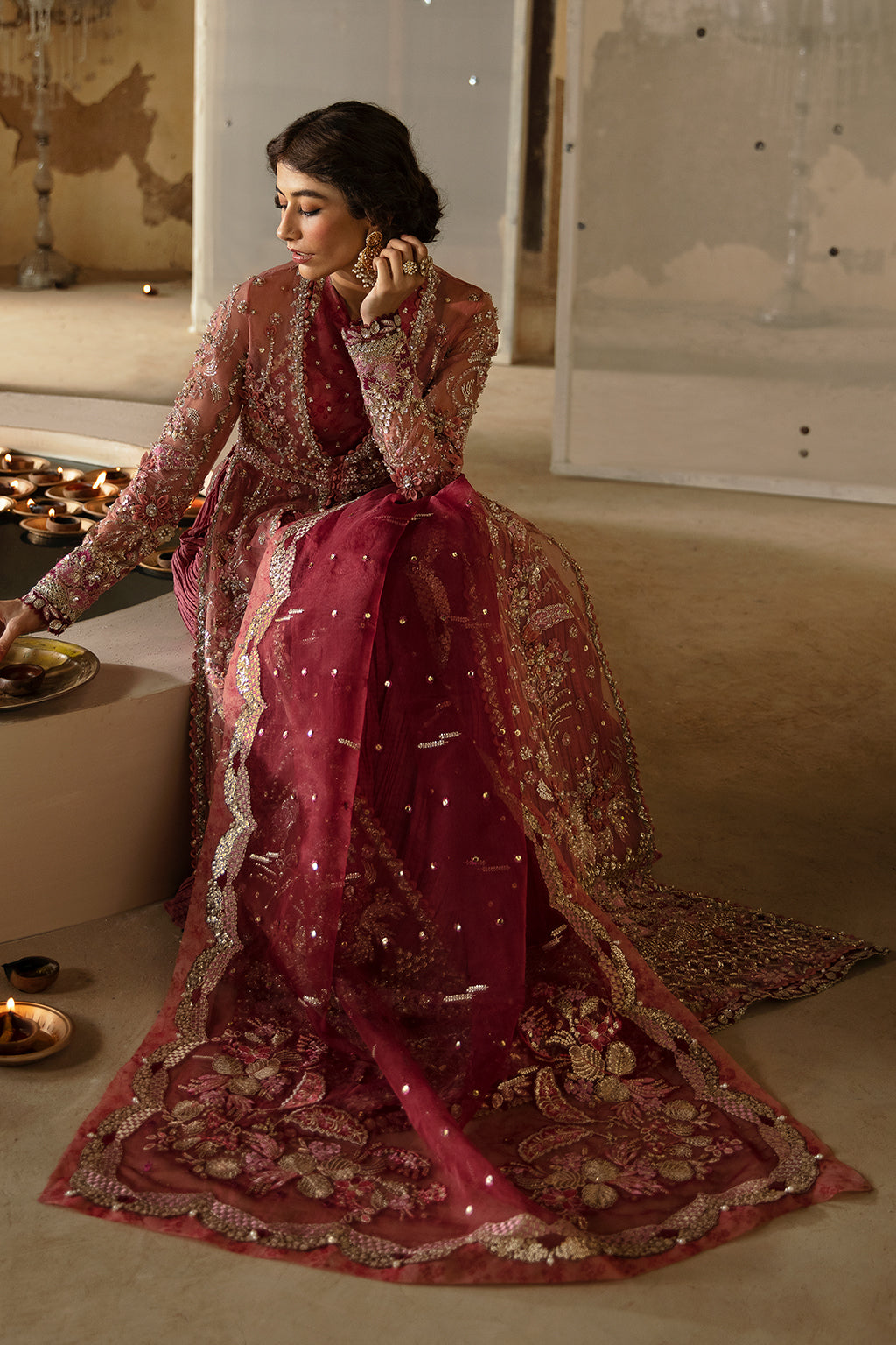 Afrozeh Mehreen organza formal pishwas, photo 4