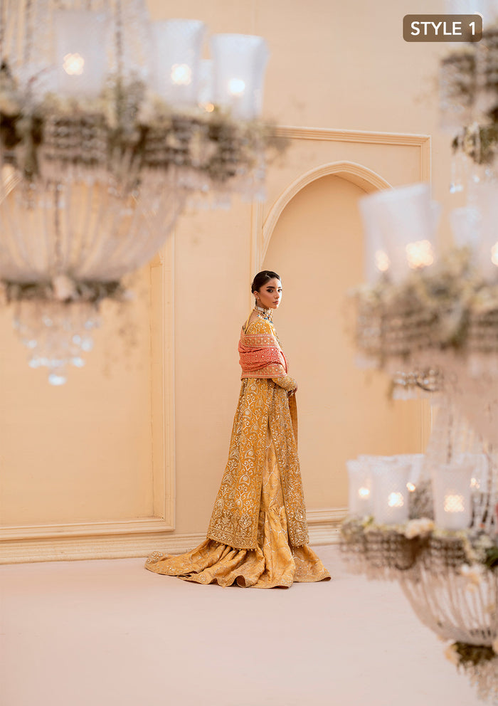 Aik Atelier | Wedding Festive 25 | LOOK 08 -  Aik Atelier Ladies Clothes - Original Designer Dress - House of Maryam