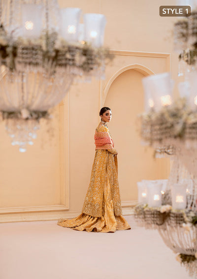 Aik Atelier | Wedding Festive 25 | LOOK 08 -  Aik Atelier Ladies Clothes - Original Designer Dress - House of Maryam