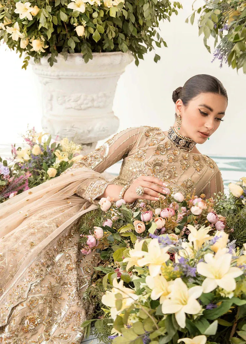 Akbar Aslam | Orphic Bridals | Noviristic