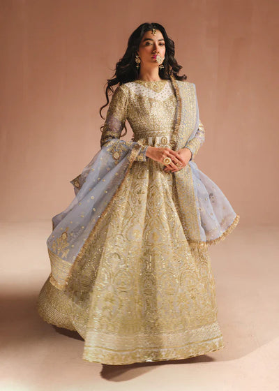 Ali Xeeshan | Prime Time Formals | Fitoor -  Ali Xeeshan Bridal - Original Designer Dress - House of Maryam
