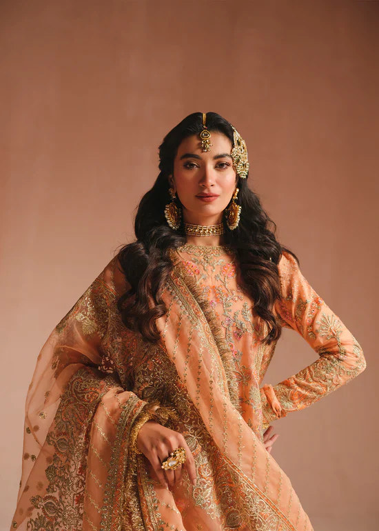 Ali Xeeshan | Prime Time Formals | Rubab -  Ali Xeeshan Bridal - Original Designer Dress - House of Maryam
