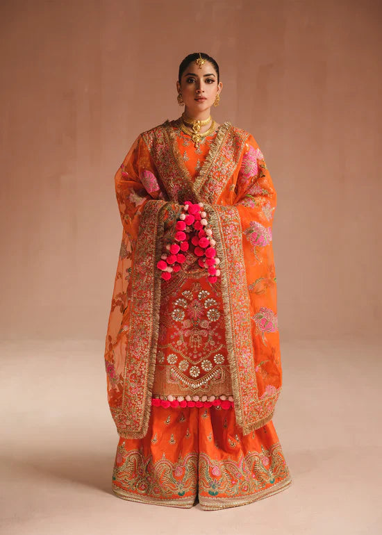 Ali Xeeshan | Prime Time Formals | Umeed -  Ali Xeeshan Bridal - Original Designer Dress - House of Maryam