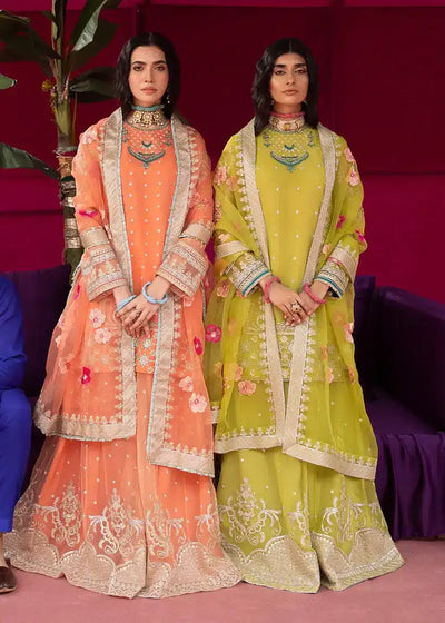 Ali Xesshan | Bhaag Lagay Rain | ANGORI BAGH  LP-010 -  Ali Xeeshan Formal - Original Designer Dress - House of Maryam