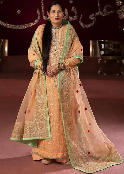 Ali Xesshan | Bhaag Lagay Rain | JAM  LP- 018 -  Ali Xeeshan Formal - Original Designer Dress - House of Maryam