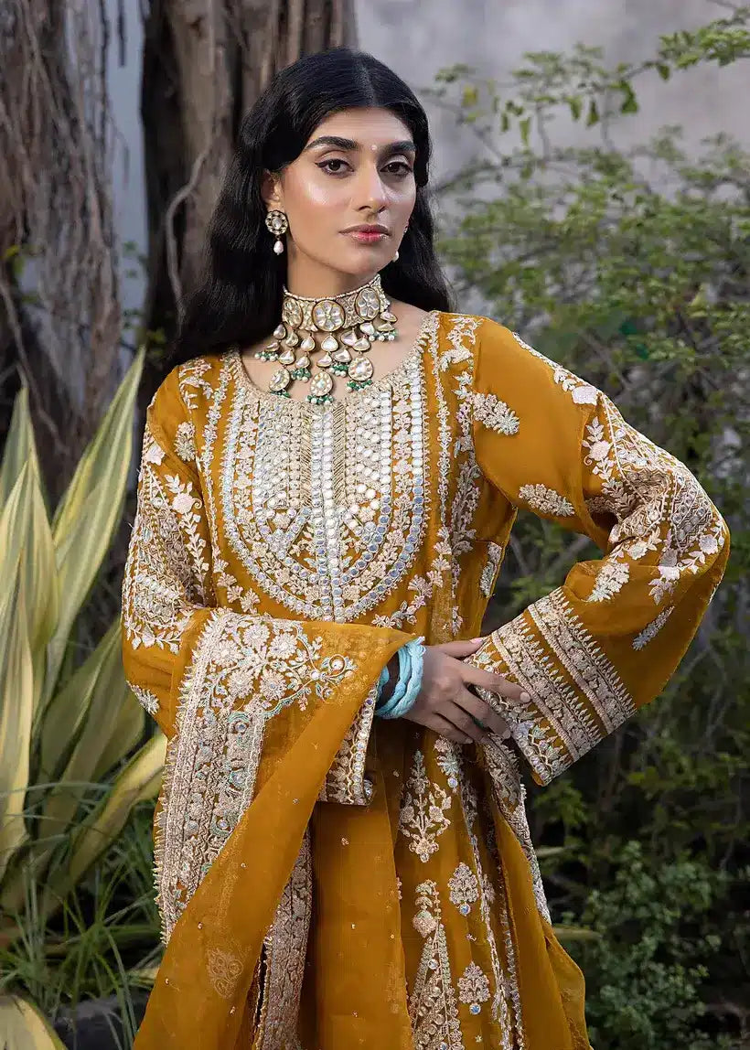 Ali Xesshan | Bhaag Lagay Rain | AMBER LP-015 by Designer Ali Xeeshan - House of Maryam - Pakistani Designer Ethnic Wear in {{ shop.shopifyCountryName }}