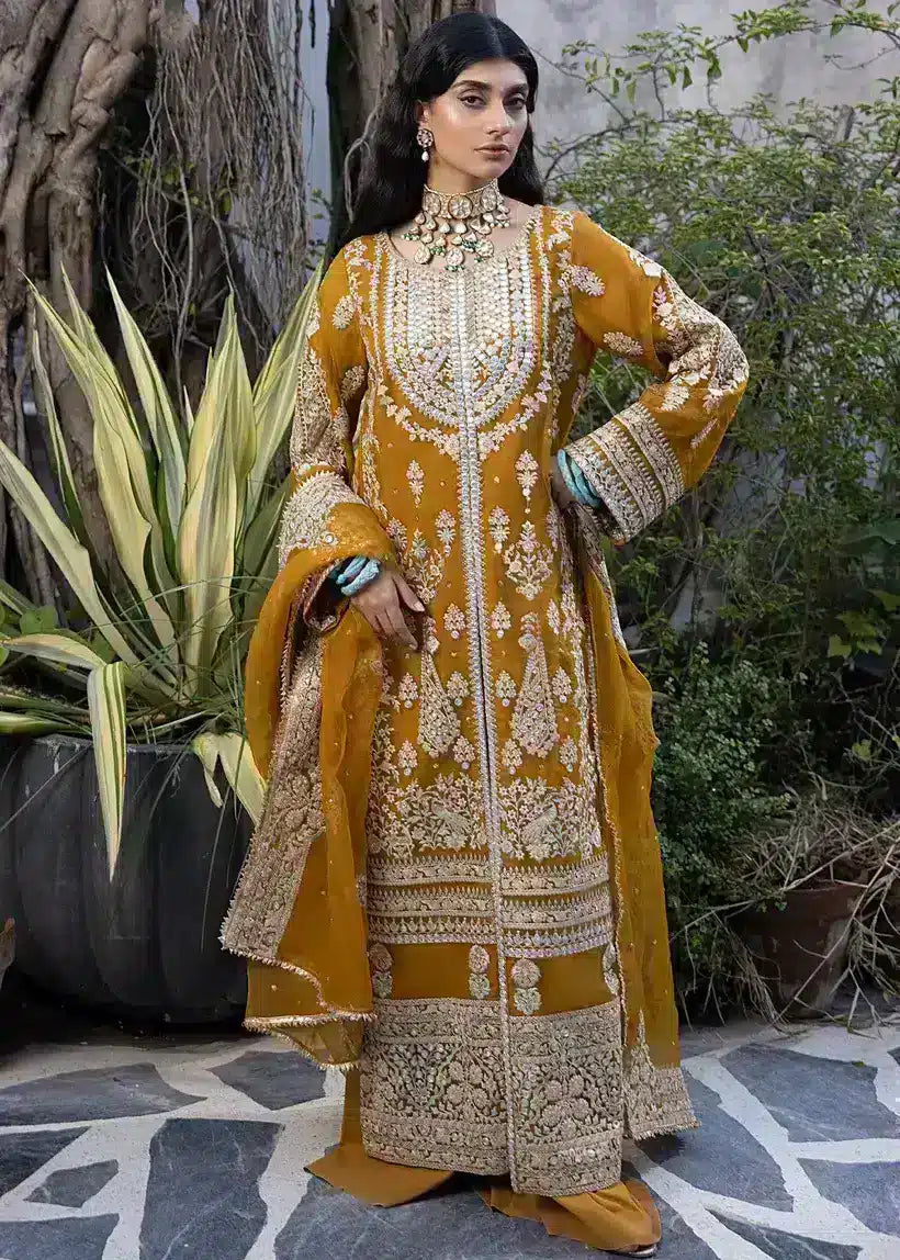 Ali Xesshan | Bhaag Lagay Rain | AMBER  LP-015 -  Ali Xeeshan Formal - Original Designer Dress - House of Maryam