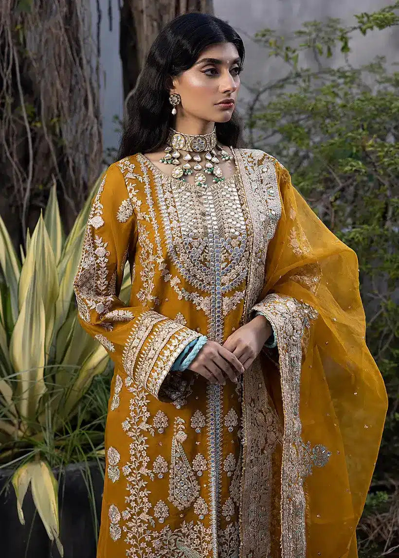 Ali Xesshan | Bhaag Lagay Rain | AMBER LP-015 by Designer Ali Xeeshan - House of Maryam - Pakistani Designer Ethnic Wear in {{ shop.shopifyCountryName }}