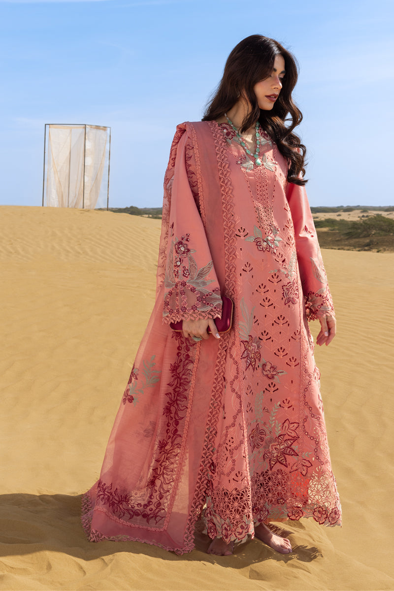 Rangrasiya | Premium Summer Collection 26 | Amani-2