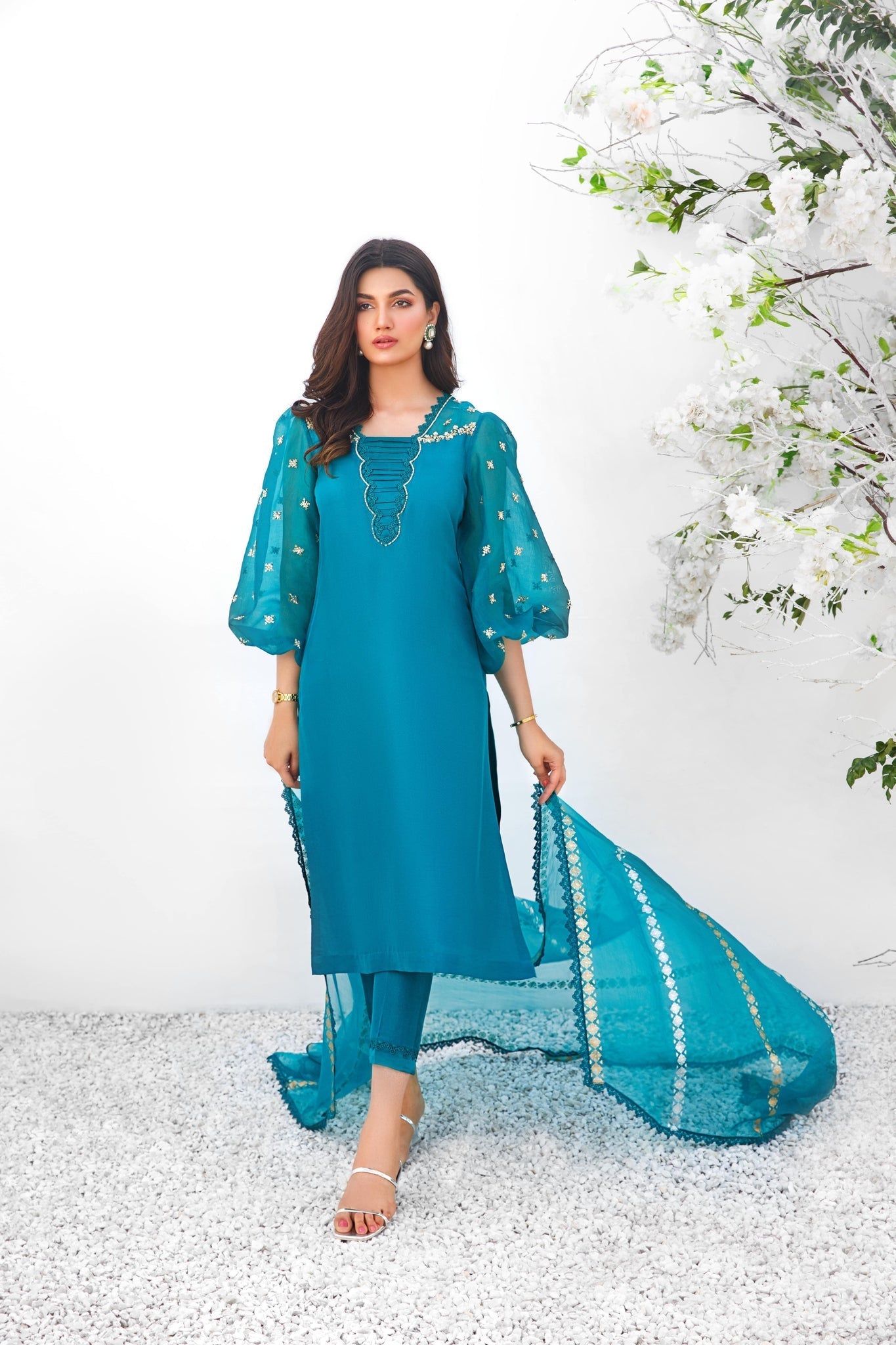 Anam Akhlaq | Festive Collection | D-15 by Anam Akhlaq - House of Maryam