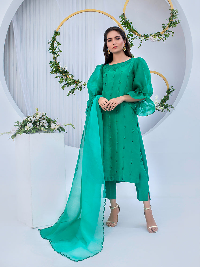 Anam Akhlaq | Festive Collection | D-05 -  Anam Akhlaq Formal - Original Designer Dress - House of Maryam