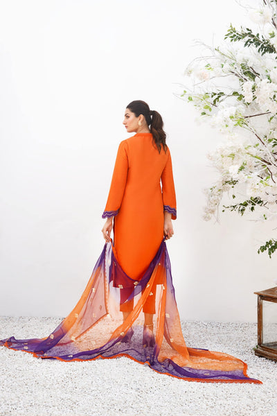 Anam Akhlaq | Festive Collection | D-19 -  Anam Akhlaq Formal - Original Designer Dress - House of Maryam