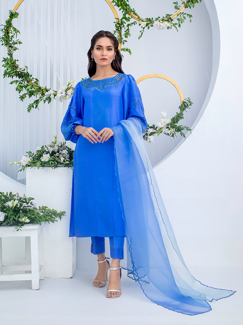 Anam Akhlaq | Festive Collection | D-02 -  Anam Akhlaq Formal - Original Designer Dress - House of Maryam