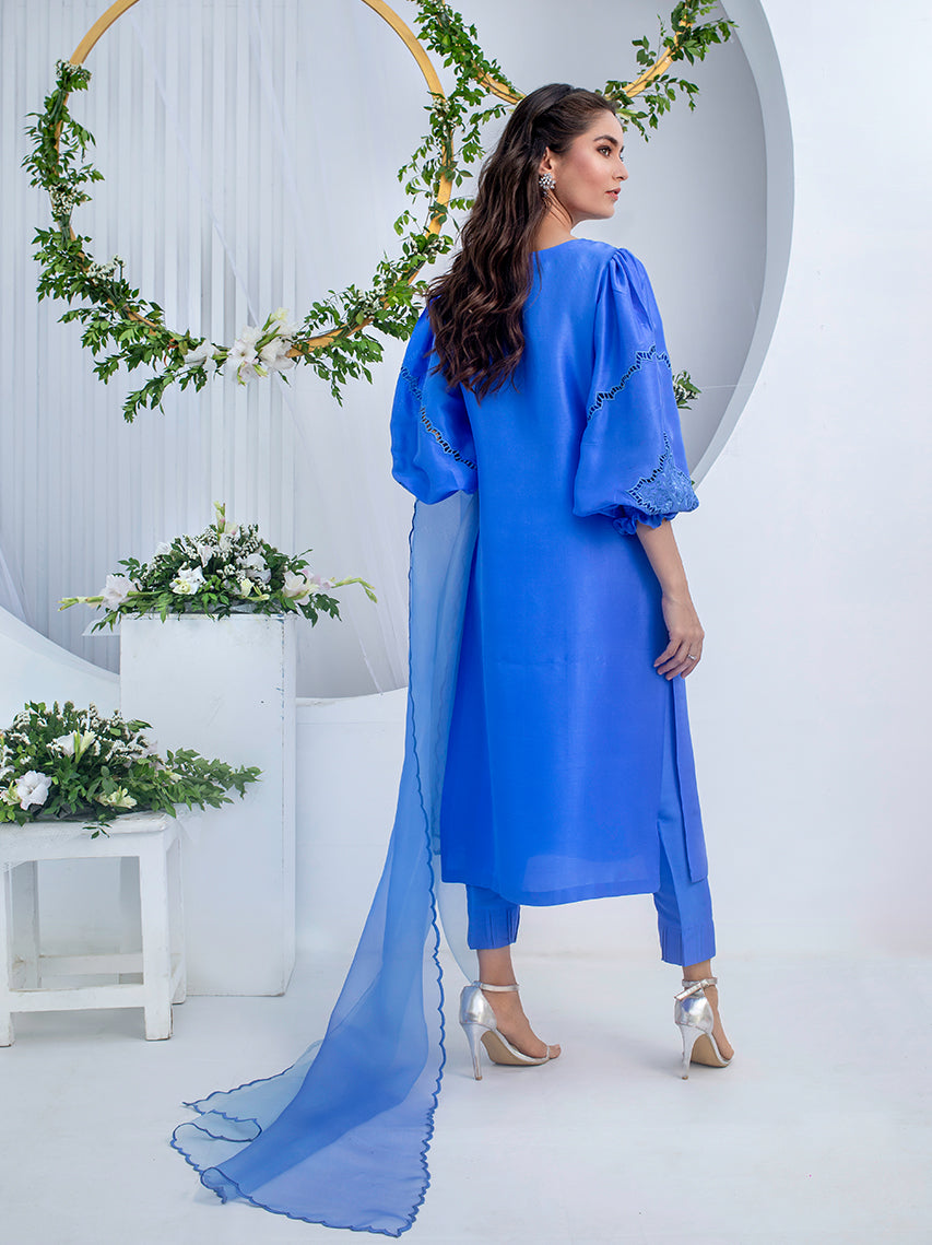 Anam Akhlaq | Festive Collection | D-02 -  Anam Akhlaq Formal - Original Designer Dress - House of Maryam