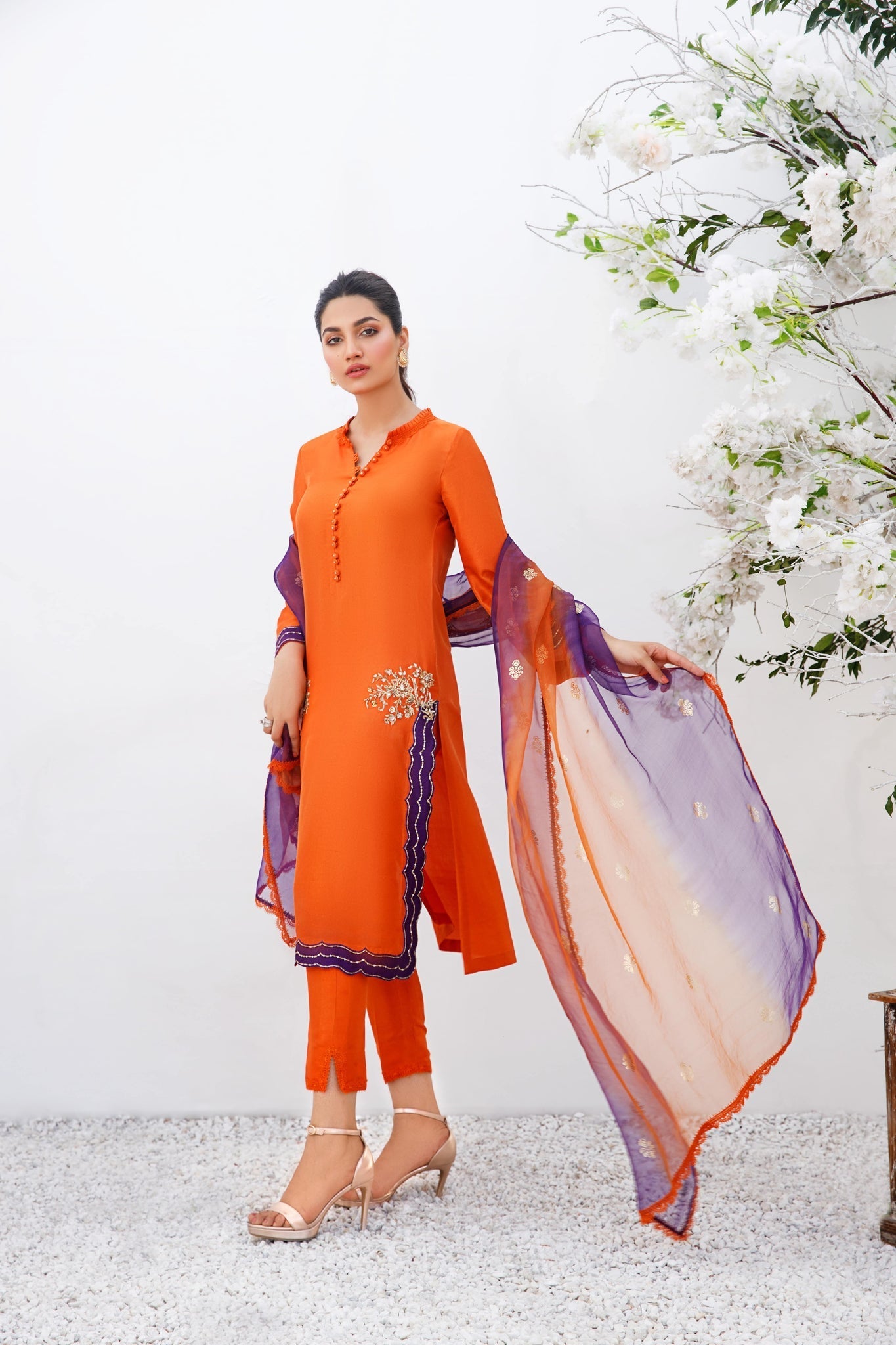 Anam Akhlaq | Festive Collection | D-19 by Anam Akhlaq - House of Maryam