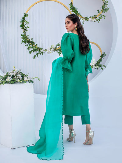 Anam Akhlaq | Festive Collection | D-05 -  Anam Akhlaq Formal - Original Designer Dress - House of Maryam