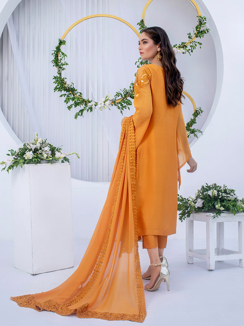 Anam Akhlaq | Festive Collection | D-03 -  Anam Akhlaq Formal - Original Designer Dress - House of Maryam