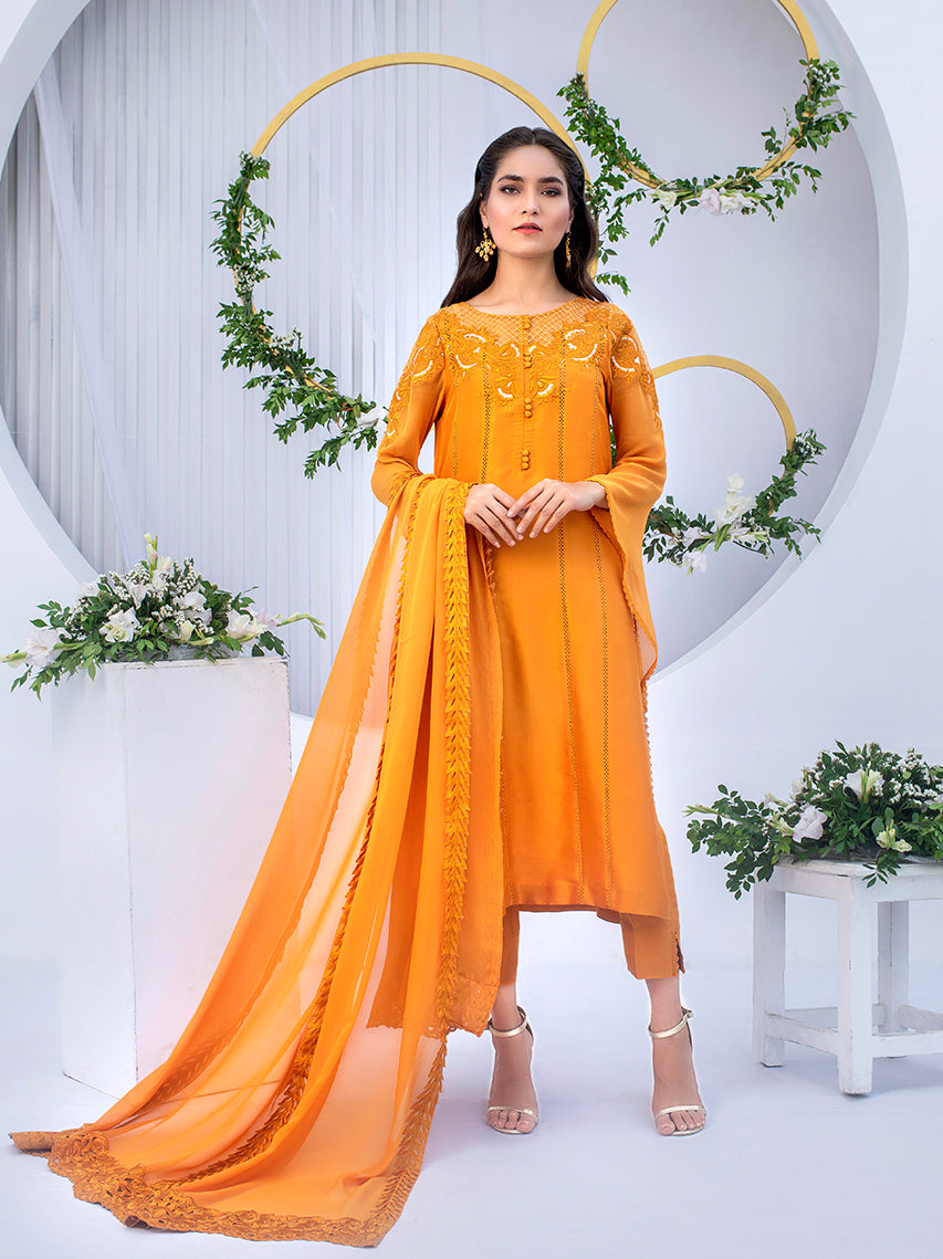 Anam Akhlaq | Festive Collection | D-03 by Designer Anam Akhlaq - House of Maryam - Pakistani Designer Ethnic Wear in {{ shop.shopifyCountryName }}