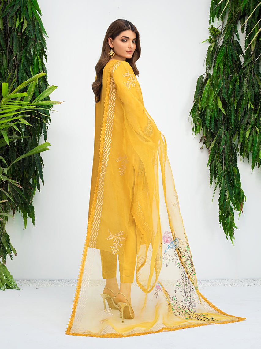 Anam Akhlaq | Festive Collection | D-10 -  Anam Akhlaq Formal - Original Designer Dress - House of Maryam
