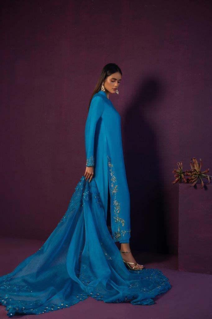 Anam Akhlaq | Festive Collection | D-45 by Anam Akhlaq - House of Maryam